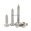 304 Stainless Steel Half Round Head Hexagonal Self Tapping Wood Screw, Pan Head Extended Pointed Tail Screw M2M3M4M5M6