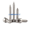 304 Stainless Steel Hexagon Socket Screw / Cylindrical Head Self Tapping Cup Head Self Tapping Screw M2/M2.6/M3/M4/M5/M6