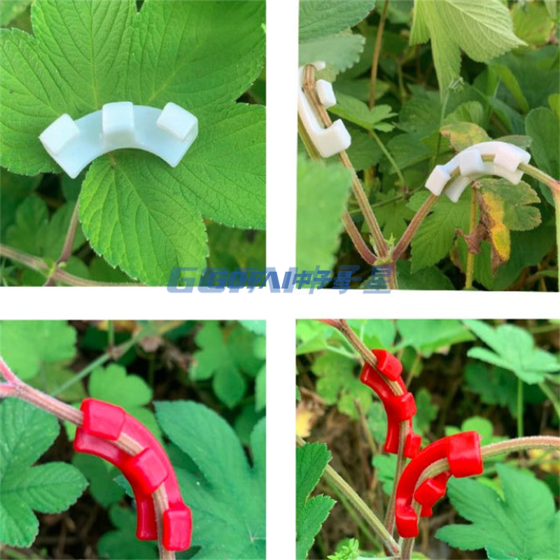 Watermelon Vegetable Garden Tomato Trellis Clip Plastic Plant Support Clip/factory Direct Supply Tomato Plant Clips Plastic Grafting Clips