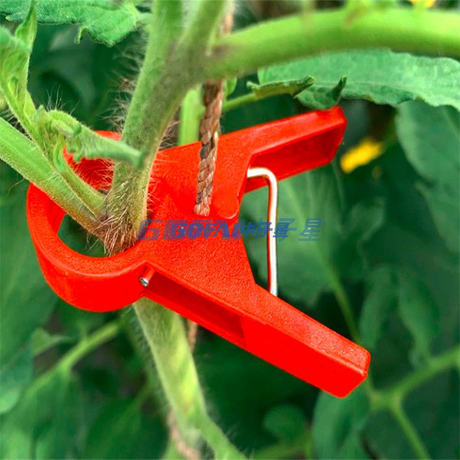 Watermelon Vegetable Garden Tomato Trellis Clip Plastic Plant Support Clip/factory Direct Supply Tomato Plant Clips Plastic Grafting Clips