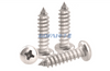 Self-tapping Screws with Cross Round Head Pointed Tail