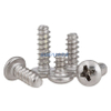 Stainless Steel Carbon Steel Black Zinc/ Bright Nickel Cross Round Head Self Tapping Flat Tail Screw