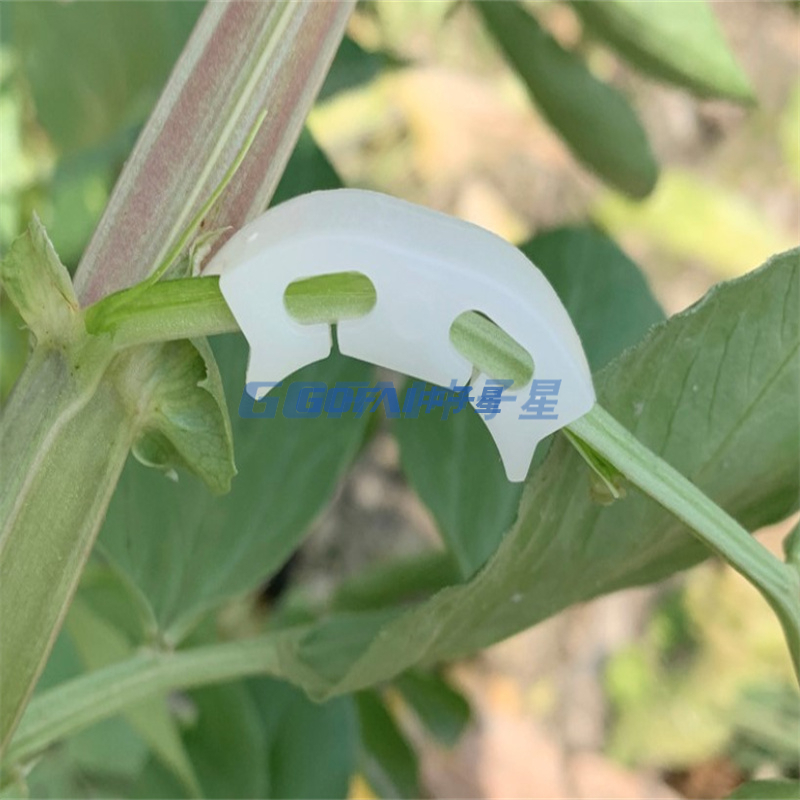New Durable Plant Support Clips Vine Garden Vegetables Tomato For Types Plants Hanging Plastic Clip