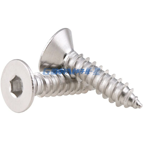 304 Stainless Steel Screw / Hexagonal Screw / M2/M3/M4 Countersunk Head Self-tapping Screw