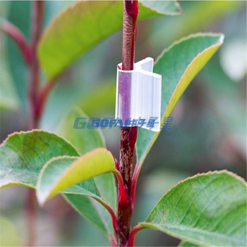 Watermelon Vegetable Garden Tomato Trellis Clip Plastic Plant Support Clip/factory Direct Supply Tomato Plant Clips Plastic Grafting Clips