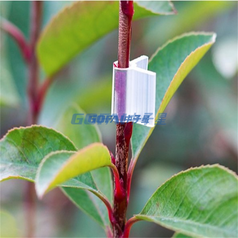 New Durable Plant Support Clips Vine Garden Vegetables Tomato For Types Plants Hanging Plastic Clip